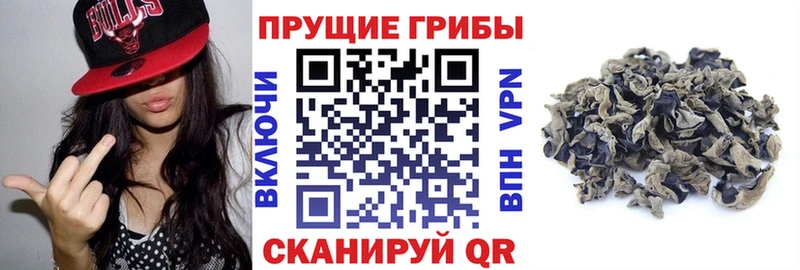 Галлюциногенные грибы Magic Shrooms Купить Вичуга
